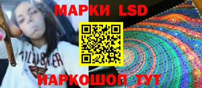 шишки Кингисепп