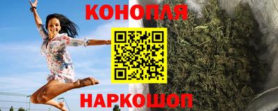 шишки Кингисепп
