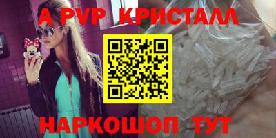 шишки Кингисепп