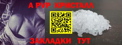шишки Кингисепп