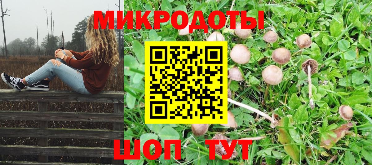 Галлюциногенные грибы мухоморы Канск